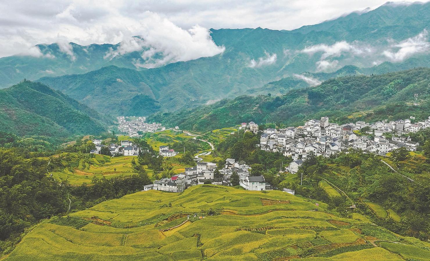 探寻安徽,华东绿色明珠的秘密