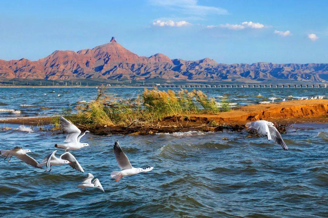 乌海,内蒙古画卷中的碧水蓝天与生命之歌